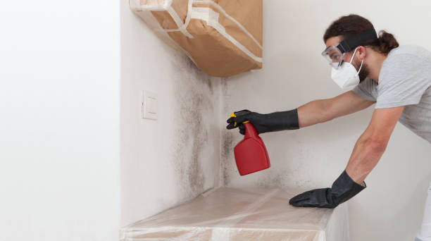 Professional Crawl Space Mold Removal technician working in Marion, KY