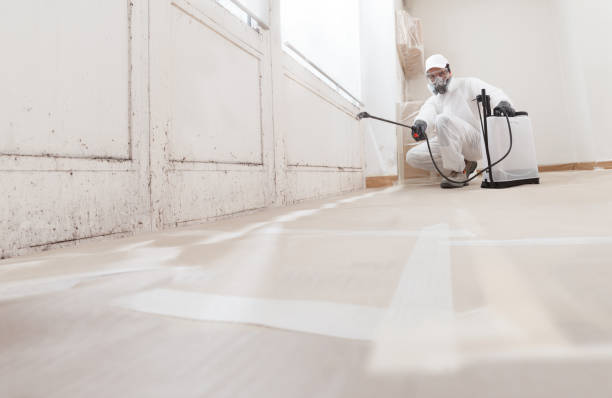 24/7 Emergency Crawl Space Mold Removal experts in Marion, KY