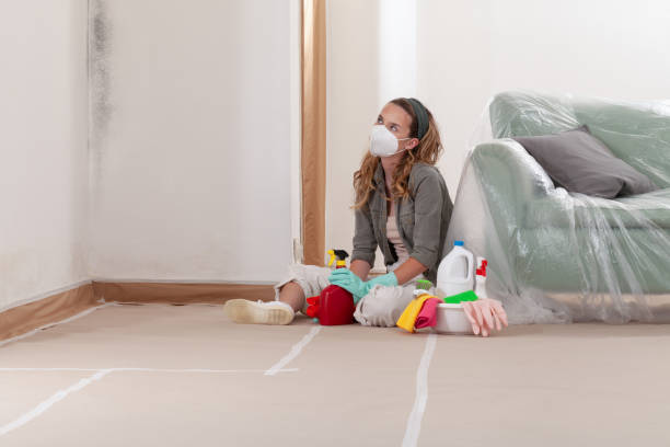 Reliable Crawl Space Mold Removal contractor in Marion, KY by WQB Mold Removal