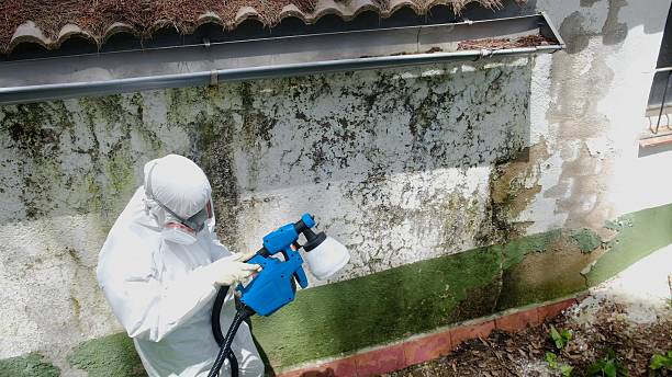 Top rated local Crawl Space Mold Removal specialists in Marion, KY